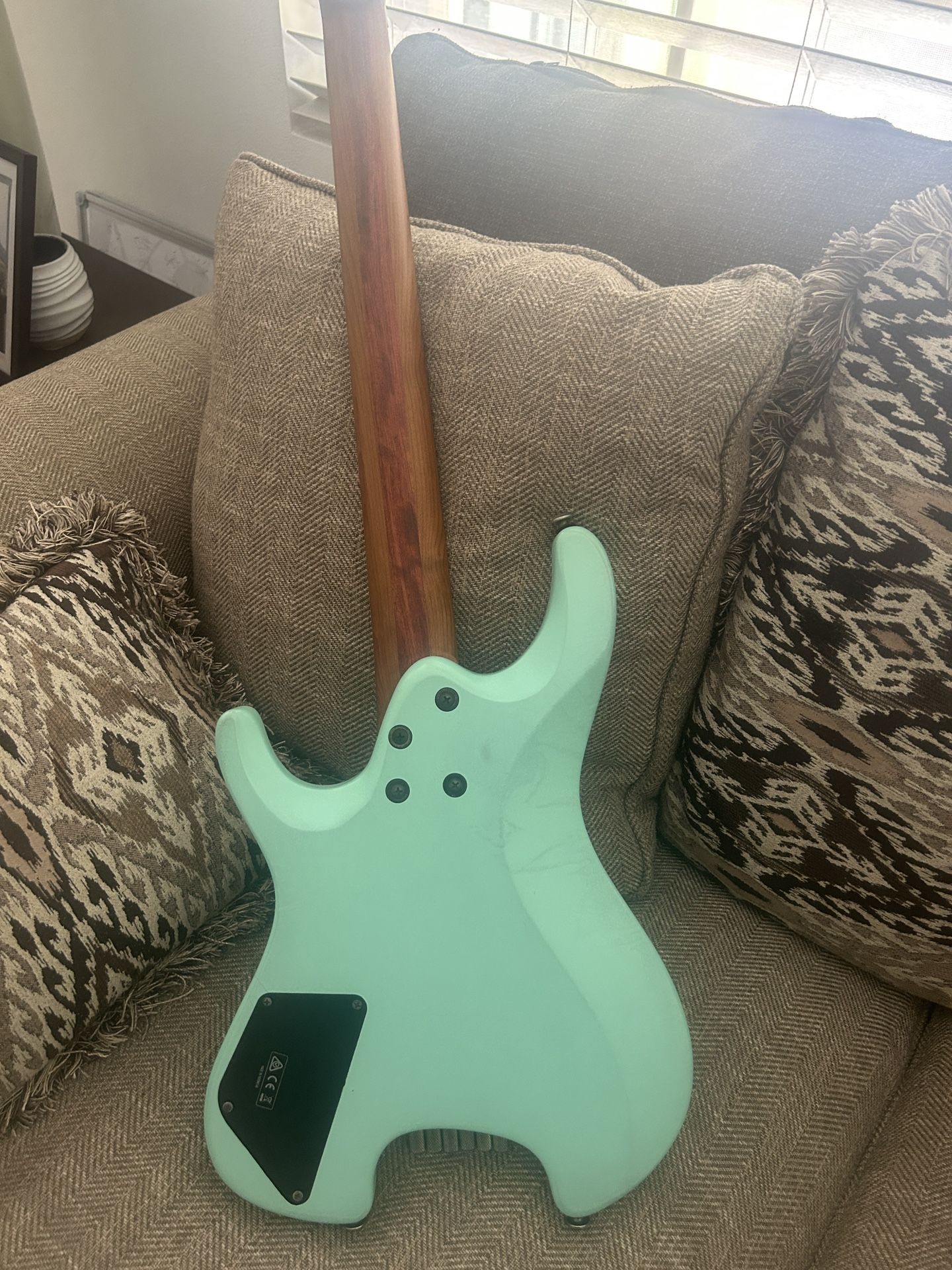 Electric Guitar