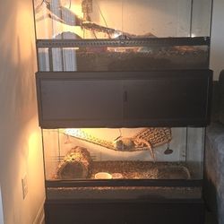 Two 40 Gallon terrariums.