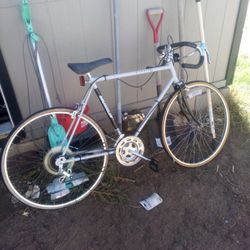 Murray citation 10 speed bike sale