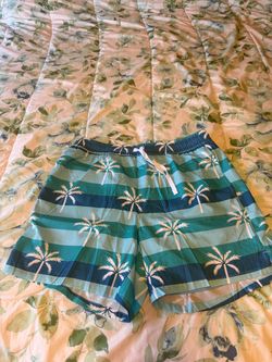 Boys Size L  Swim Trunks Blue/Green/White Striped Palm Tree Drawstring