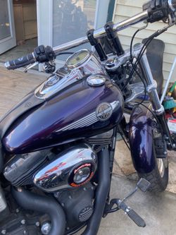 Harley fat bob
