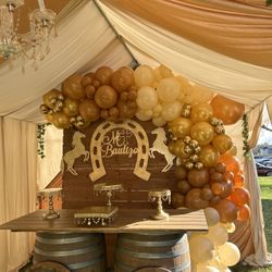 Tent Canopy