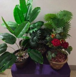 Artificial Potted Plants Sealed in Polished Stone ($20 EACH) @ Lasting Creations