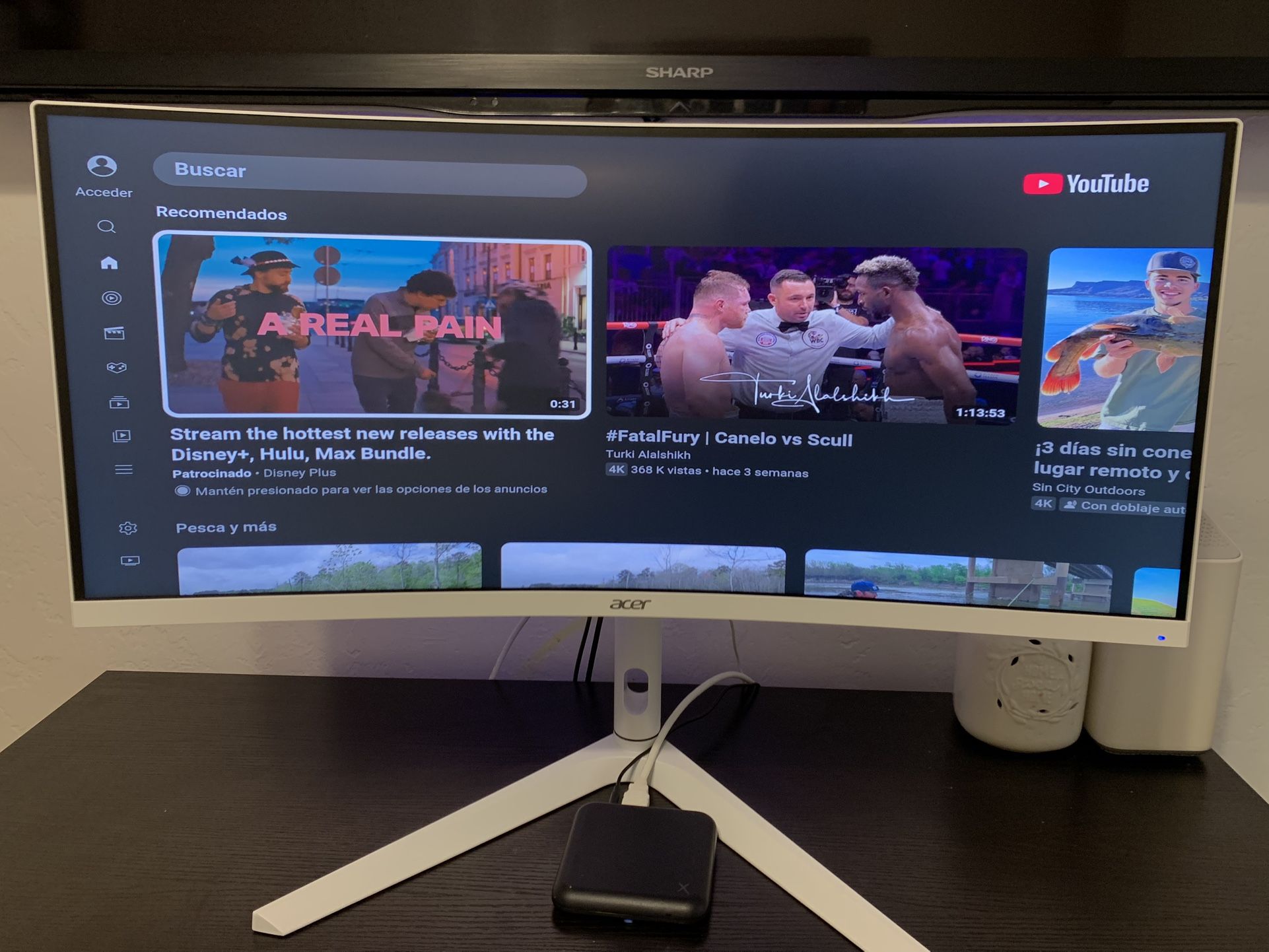 Acer Gaming Monitor