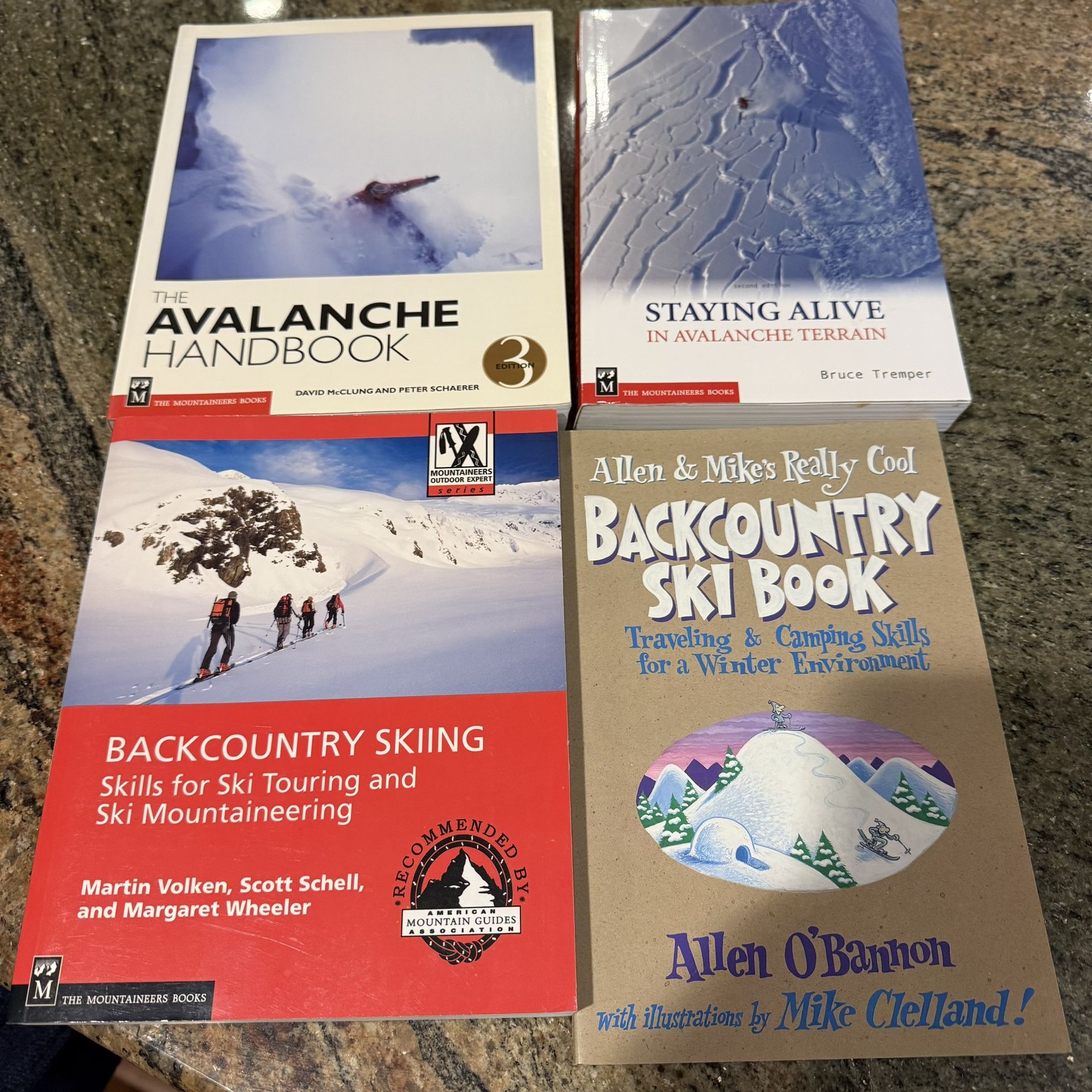 Avalanche Safety Backcountry Skiing Book Lot Staying Alive Touring Mountaneering