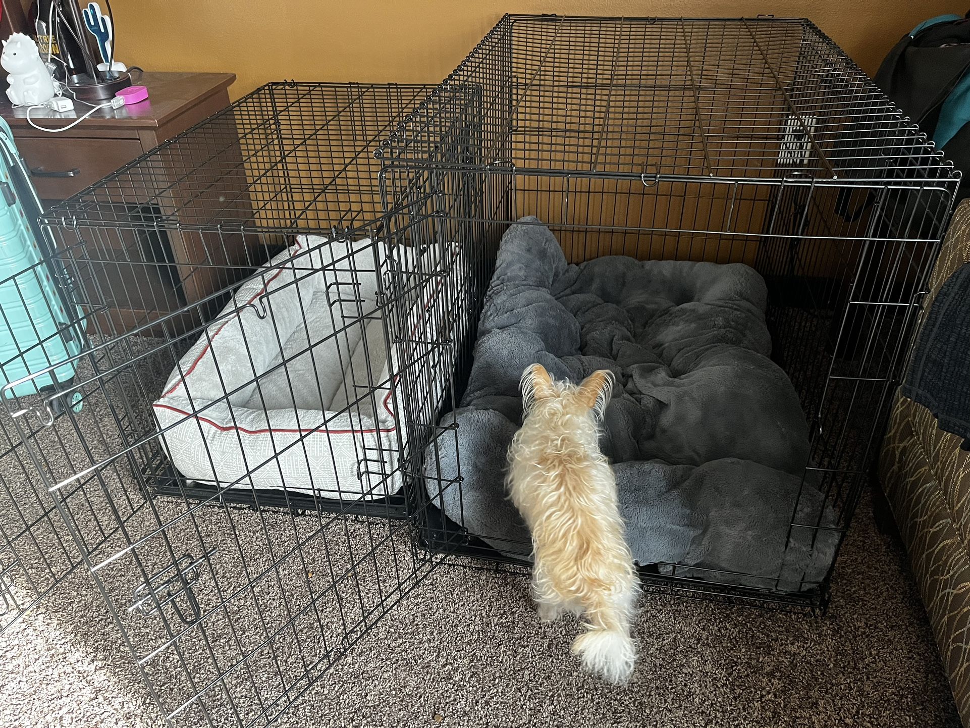 XL 42" Dog Crate Will Trade For 36"