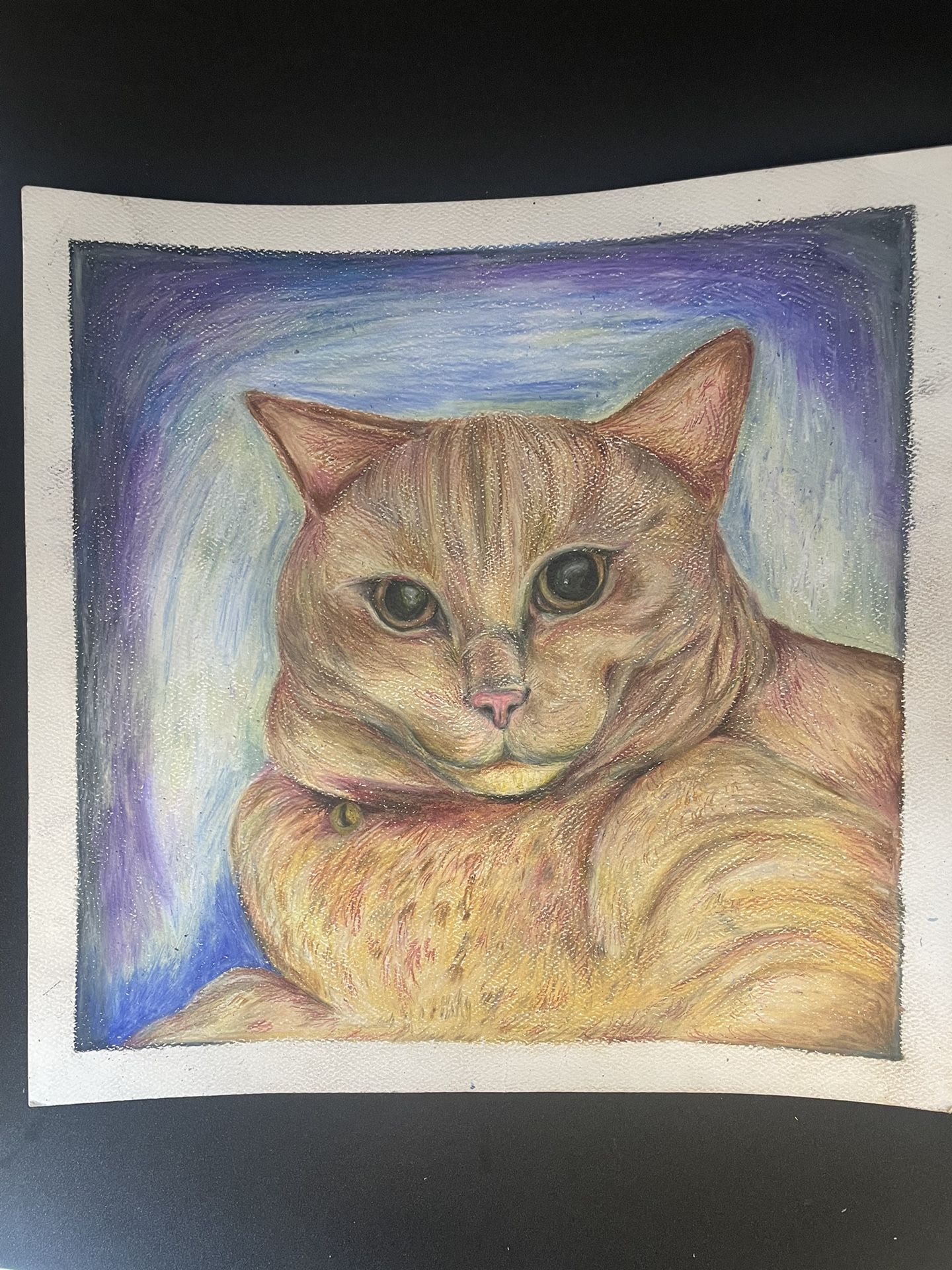 Petcare 