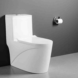 One Piece Toilet with Soft Closing Seat 10'' Rough-In Modern Toilet for Bathrooms 27.1x 15.4 x 29.9 Inches Standard White Toilet bowl