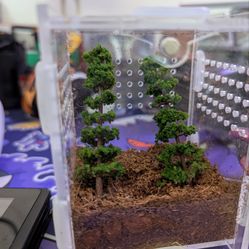 Spiderling or jumping spider enclosure