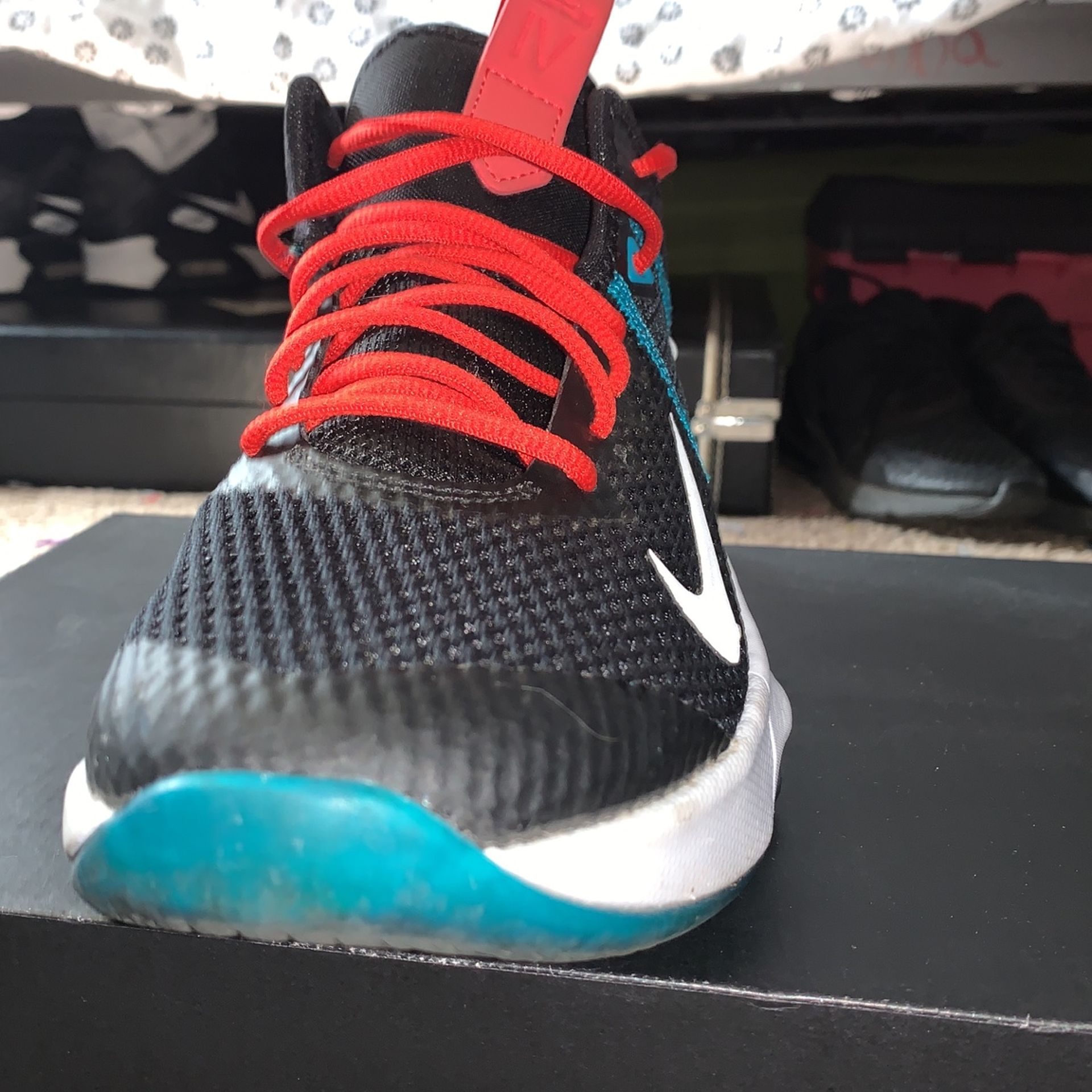 Lebron Witness IV
