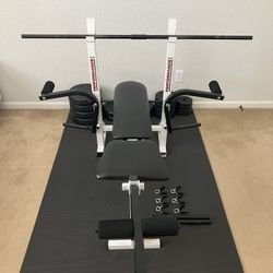 Weight Bench w/ Weights