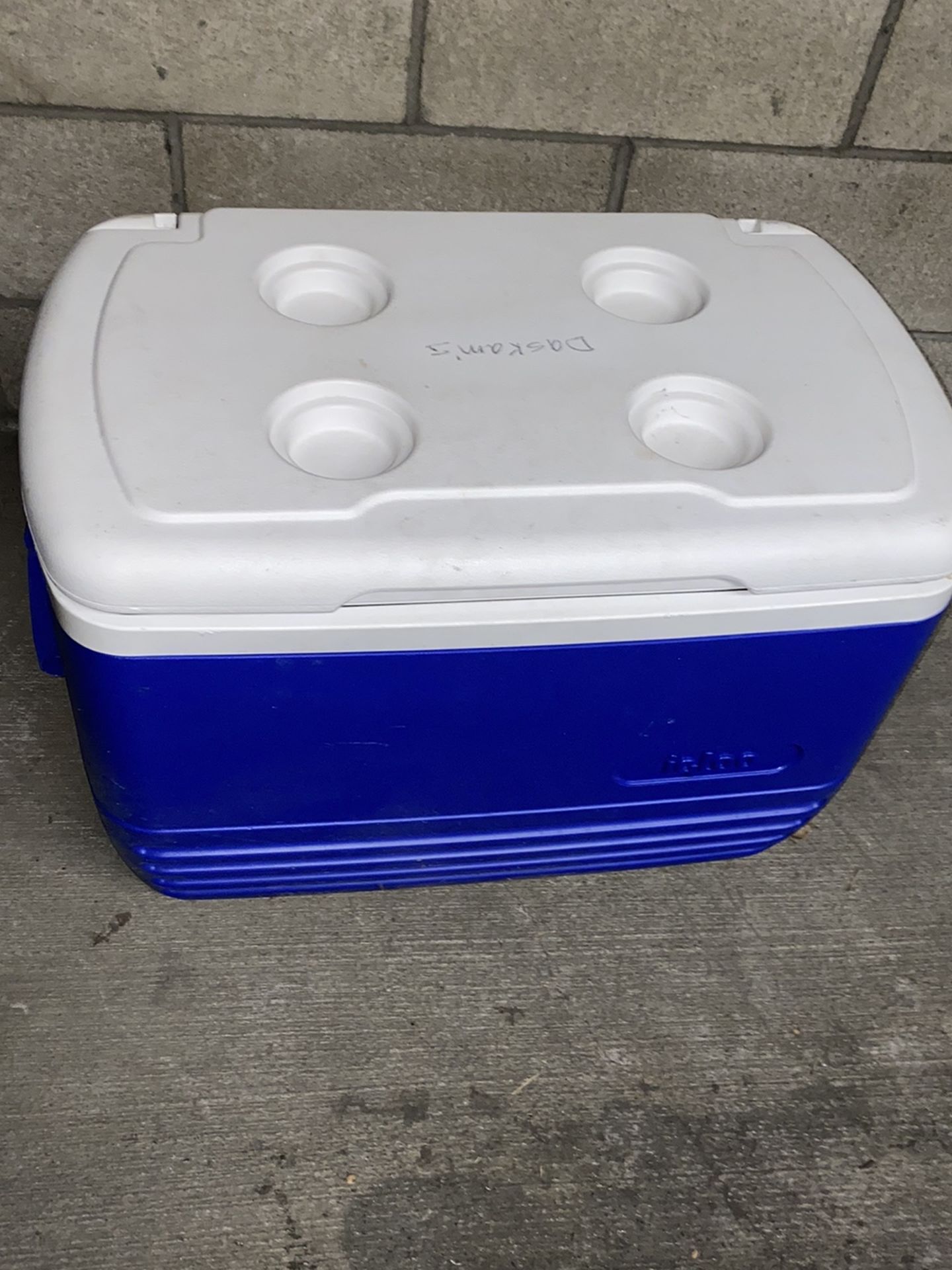 Igloo Cooler