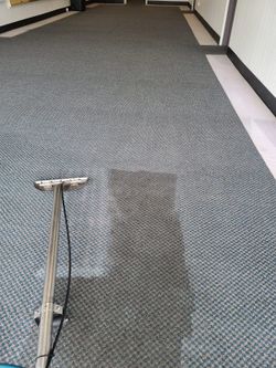 Steam Carpet Cleaner