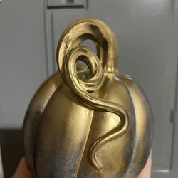 Rare gold-silvery pumpkin 