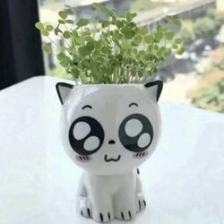 Big Eyed Cat Anime Ceramic Mini Succulent Pot 2.76"