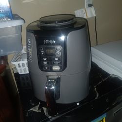Ninja Air Fryer 