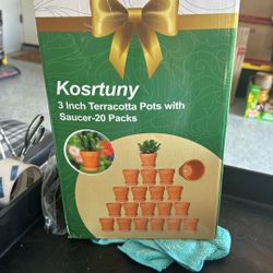 Terracotta Pots 3in 20 Pack Plants 