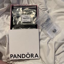 Pandora Bracelet And Extra Charm. 