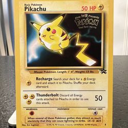 what sleeves for pokemon cards Pokémon Card Game Deck Shield Cynthia & Garchomp Ver.2 (64 Sleeves)