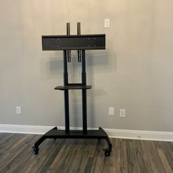 Rolling TV stand 