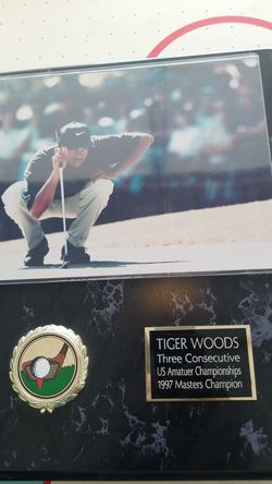 Tiger woods picture