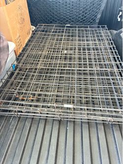 Dog Kennel