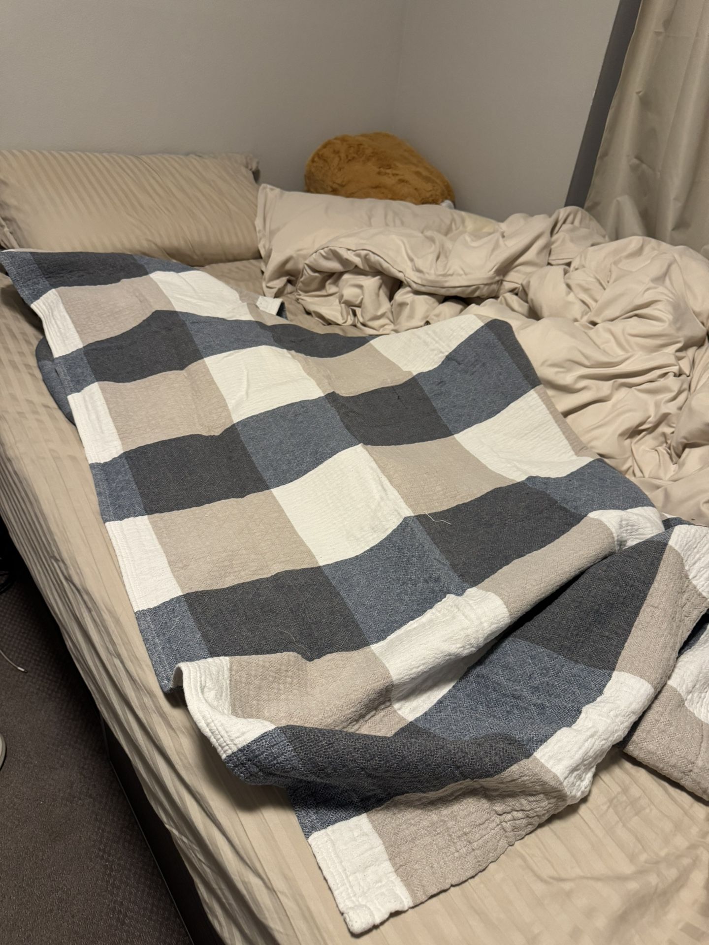 Bed Sheet Cotton / blanket / quilt