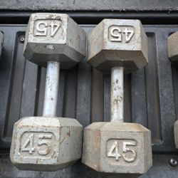 Weight Dumbbells 