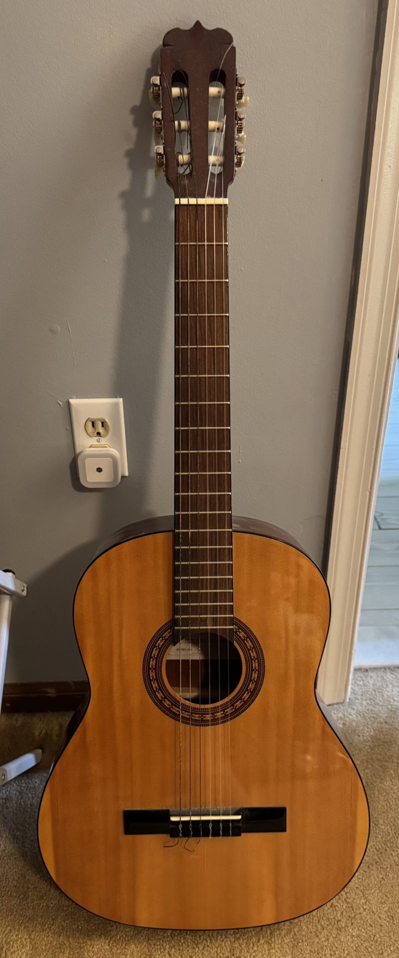Jasmine by Takamine classical guitar