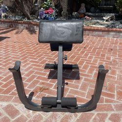 Preacher Curl