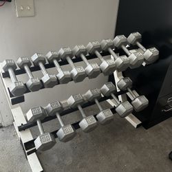 Dumbbell Set - 368lbs