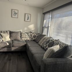 Greyish Sectional Sofa