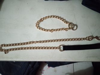 Dog Leash And Collar