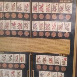 Framed Picture Of Stamps representing different birds Of the East South Midwest And West with Pennies Under each  stamp With Article From George Washi
