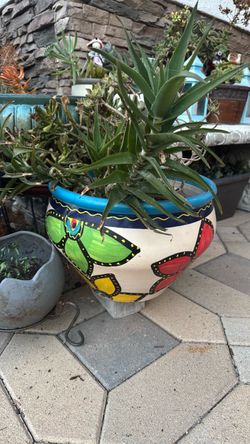 Garden Pot