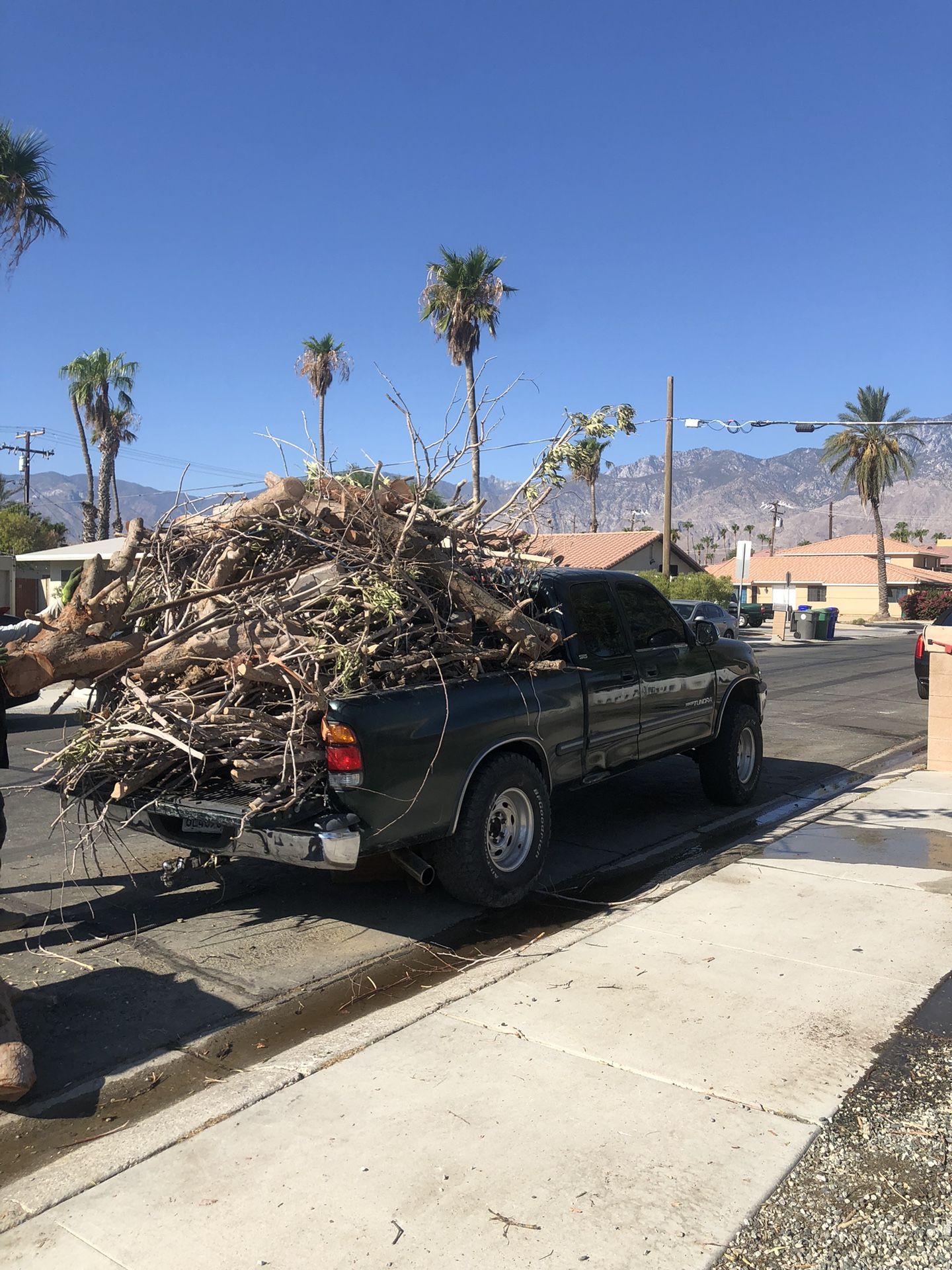 Fire Wood