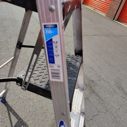 Ladder Werner