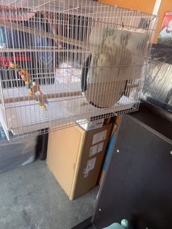 Large Bird Cage