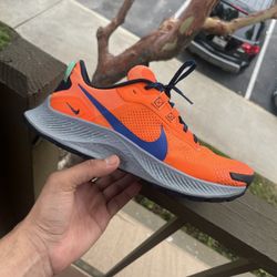 Nike Trail Shoes 