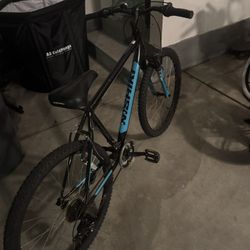 Nishiki Bike- 26”