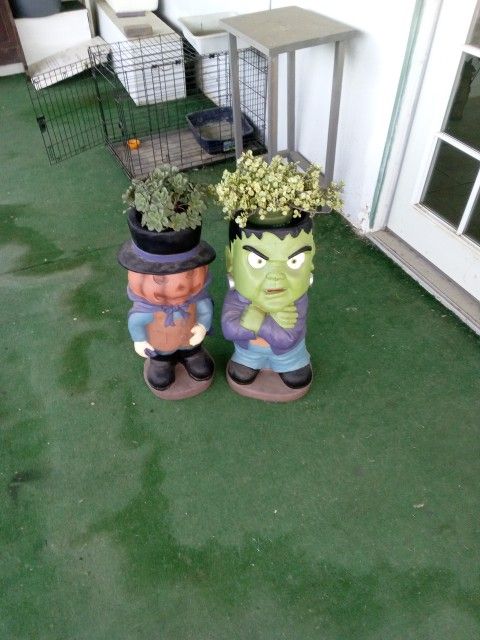 Pumpkin Man And Franky