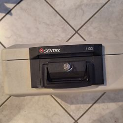 Sentry Safe 1100 Fire Box