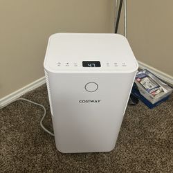 Costway Dehumidifier