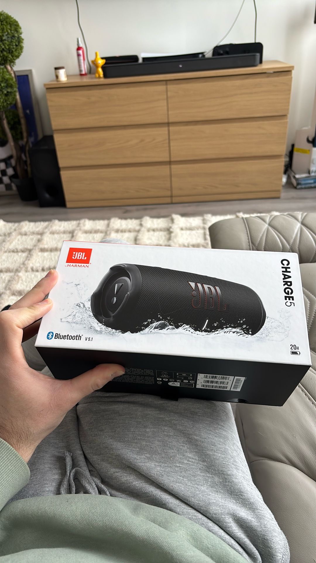 JBL Charge 5 Portable Bluetooth Waterproof Speaker - Black