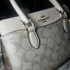 Handbag Finds