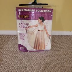 Golden Goddess Child Size Large 12-14