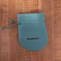Tiffany & Co Jewelry Bag (small / suede)