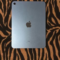 iPad (10th Gen)