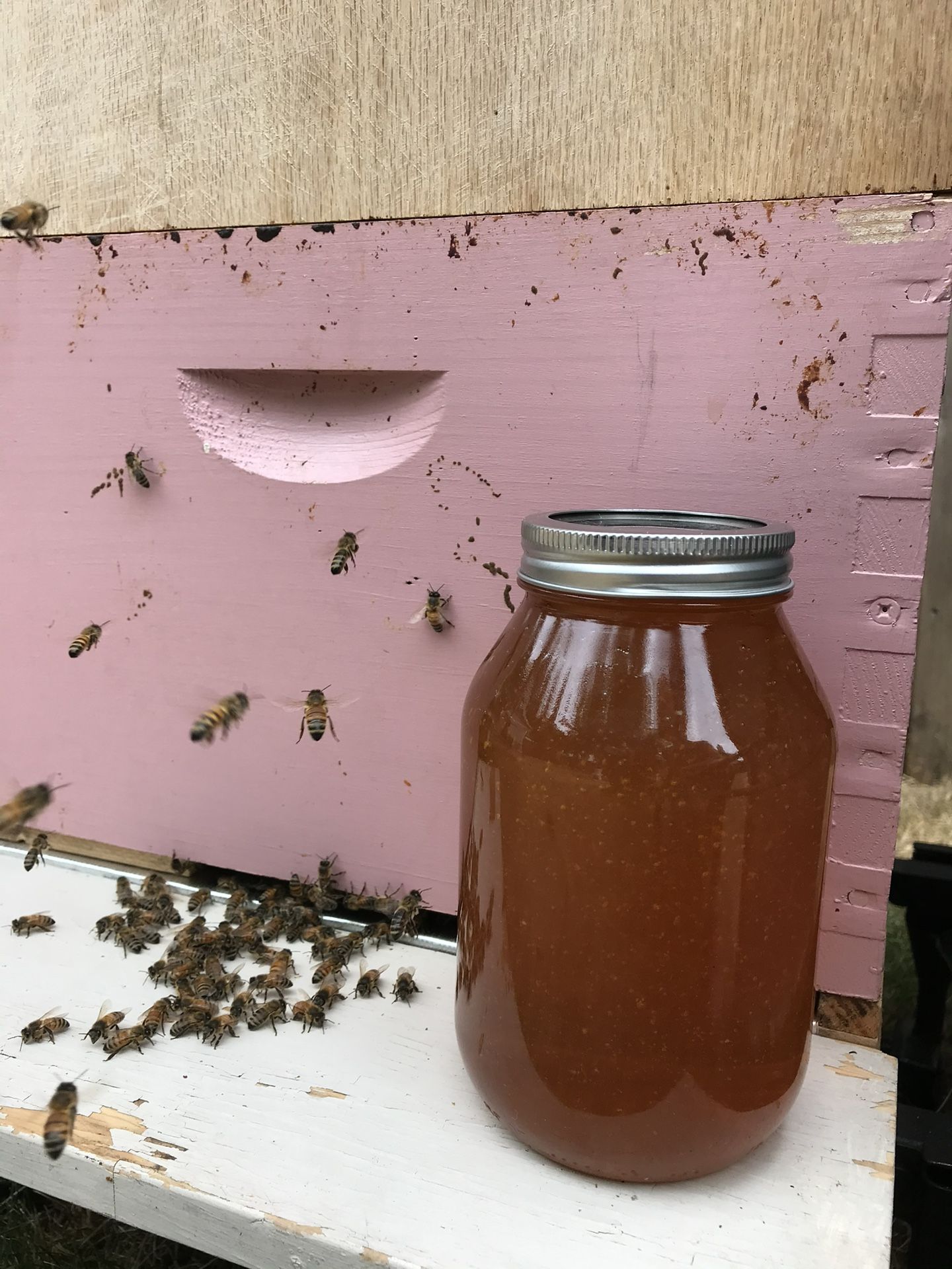 Bee’s