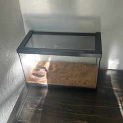 Small Animal Cage 